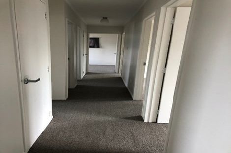 Photo of property in 137a Nixon Street, Hamilton East, Hamilton, 3216