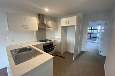 Photo of property in 17 Owens Place, Mount Maunganui, 3116