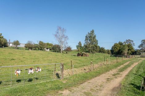 Photo of property in 733 Grove Road, Karamu, Hamilton, 3285