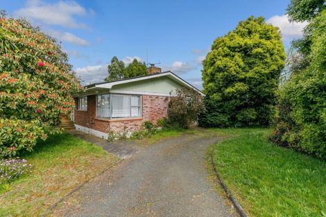 Photo of property in 130 Helvetia Road, Pukekohe, 2120