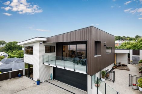 Photo of property in 5 Havelock Street, Mornington, Dunedin, 9011