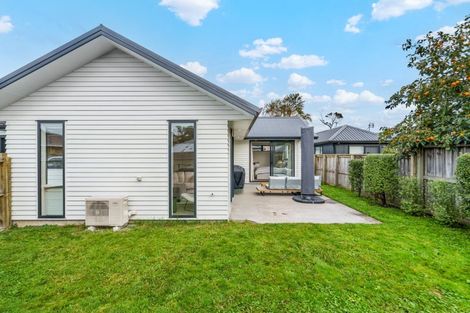 Photo of property in 99b Bruce Avenue, Glenview, Hamilton, 3206