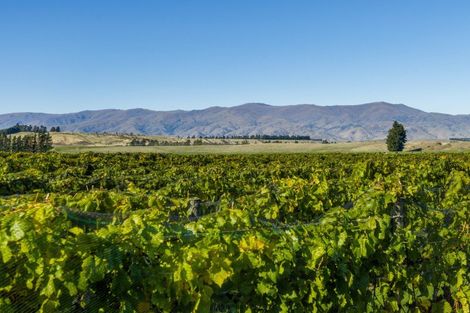 Photo of property in 1290 Luggate - Tarras Road, Tarras, Cromwell, 9383