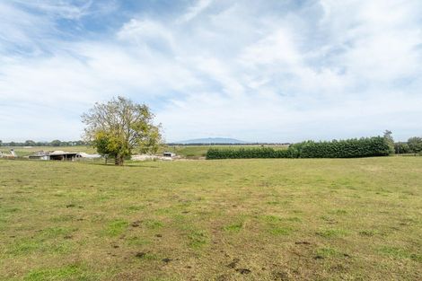 Photo of property in 59 Parallel Road, Cambridge, 3495