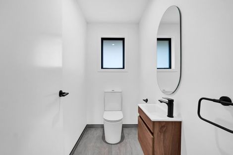 Photo of property in 119a Hamlet Street, Stratford, 4332