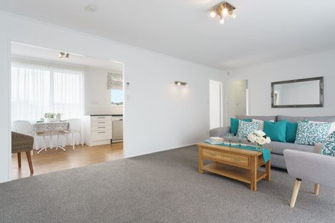 Photo of property in 14 Girven Road, Mount Maunganui, 3116