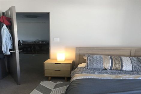 Photo of property in Dual Apartments, 301/142u Vivian Street, Te Aro, Wellington, 6011