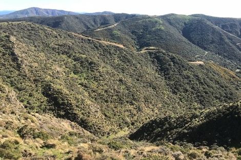 Photo of property in Long Gully Farm, 500 Hawkins Hill Road, Brooklyn, Wellington, 6021