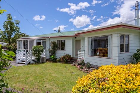 Photo of property in 45 Herbert Street, Masterton, 5810