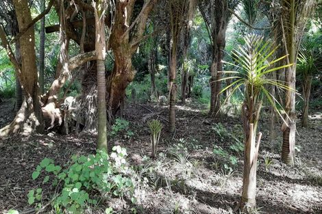 Photo of property in 746 Parapara-toatoa Road, Taipa, Kaitaia, 0483
