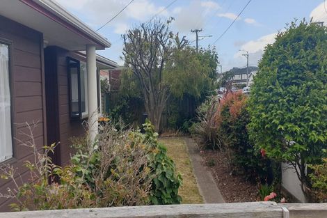 Photo of property in 107a Hobart Street, Miramar, Wellington, 6022