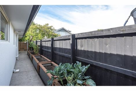 Photo of property in 133 Rose Street, Somerfield, Christchurch, 8024