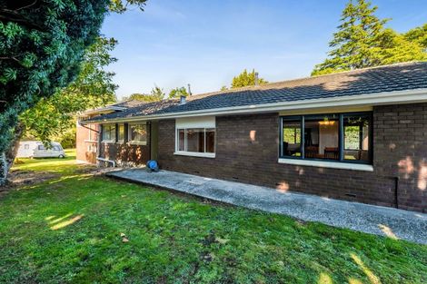 Photo of property in 13 Regan Street, Stratford, 4332