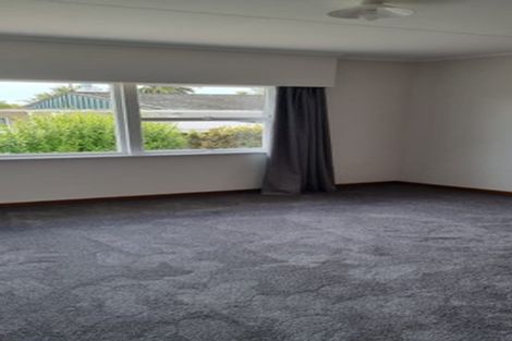 Photo of property in 23 Heaphy Street, Richmond, 7020