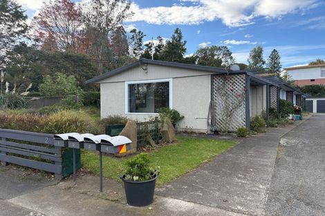 Photo of property in 1/2 Ruataniwha Street, Waipawa, 4210