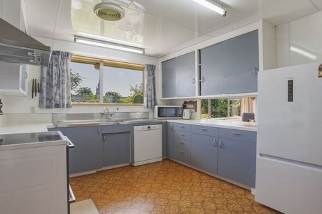 Photo of property in 14 Queen Street, Milton, 9220