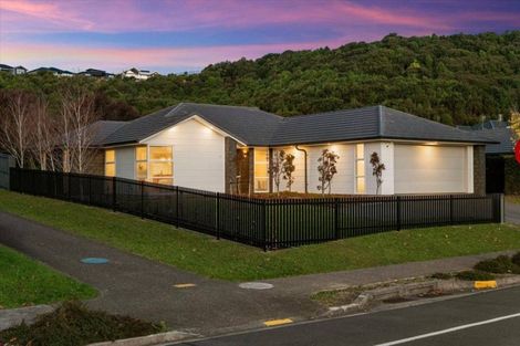 Photo of property in 217 Lakes Boulevard, Pyes Pa, Tauranga, 3112