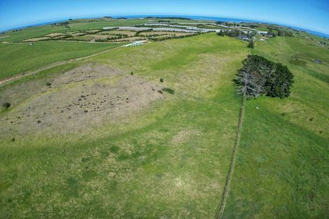 Photo of property in 42 Redhill Cemetery Road, Te Kopuru, 0371