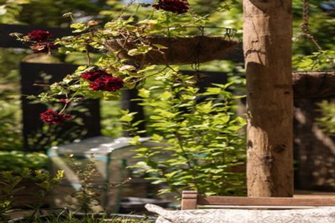 Photo of property in 60 Victoria Street, Waikino, Waihi, 3682