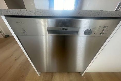 Photo of property in 3 Lemon Tree Lane, Flat Bush, Auckland, 2019