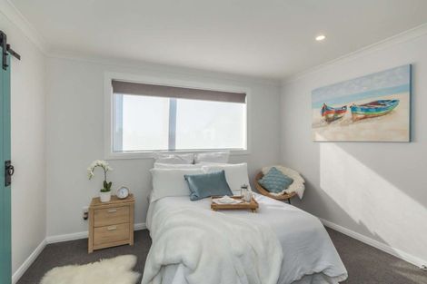 Photo of property in 87a Tiro Tiro Road, Levin, 5510