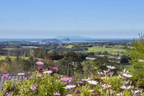 Photo of property in 320 Lindemann Road, Tahawai, Katikati, 3170