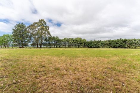 Photo of property in 52 Levels Plain Road, Levels, Timaru, 7975