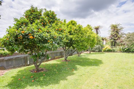 Photo of property in 240 Saint Marys Avenue, Te Awamutu, 3800