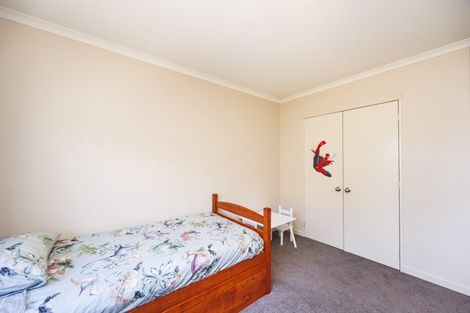 Photo of property in 24 Ursula Drive, Feilding, 4702