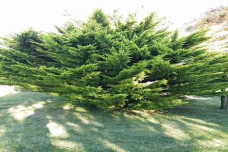 Photo of property in 897 Sandy Knolls Road, West Melton, Christchurch, 7675