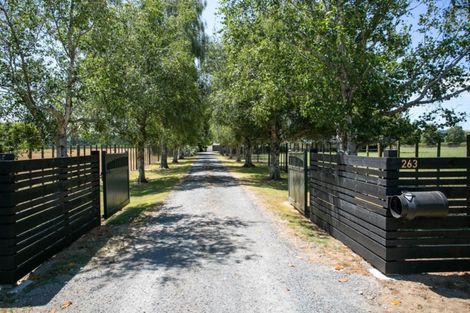Photo of property in 263 Maungatautari Road, Cambridge, 3494
