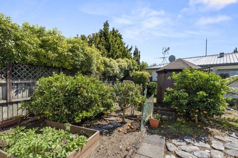 Photo of property in 16 Gilbert Street, Amberley, 7410