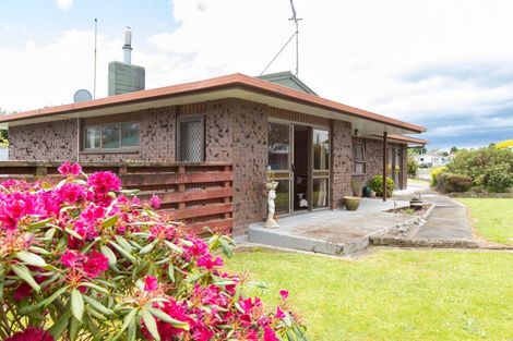 Photo of property in 16 Mathew Street, Dannevirke, 4930
