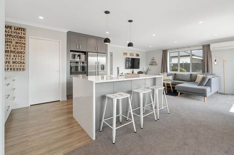 Photo of property in 22 Echelon Drive, Wigram, Christchurch, 8042