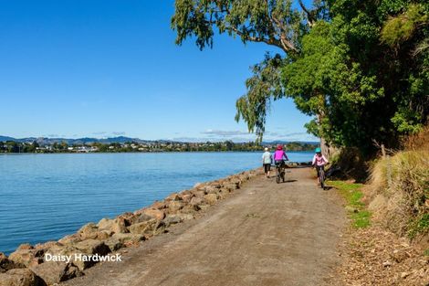 Photo of property in 62 Kulim Avenue, Otumoetai, Tauranga, 3110
