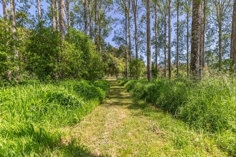 Photo of property in 803 Gladstone Road, Levin, 5571