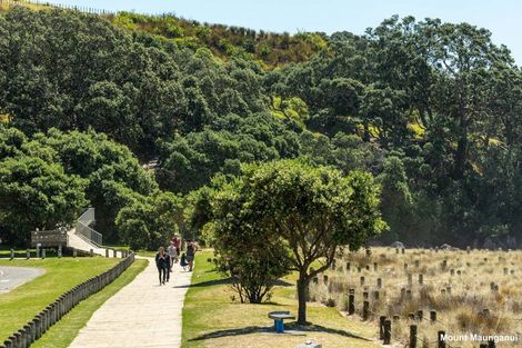 Photo of property in 12 Adams Avenue, Mount Maunganui, 3116