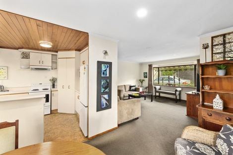 Photo of property in 91b Thirteenth Avenue, Tauranga South, Tauranga, 3112