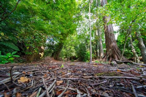 Photo of property in 1/22 Bettina Road, Fairfield, Hamilton, 3214