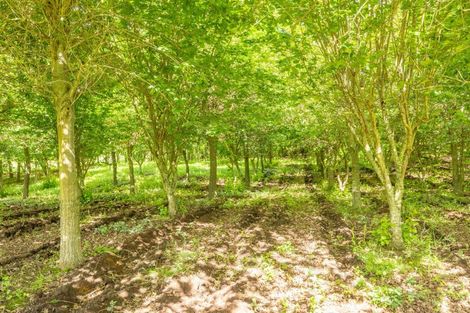 Photo of property in 111 Ellis Road, Otorohanga, 3974