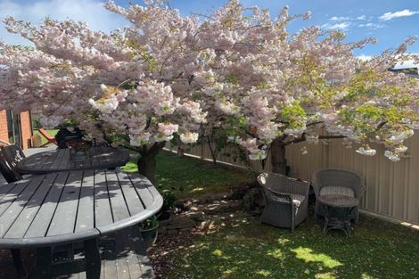 Photo of property in 38 Jollys Road, Cromwell, 9310