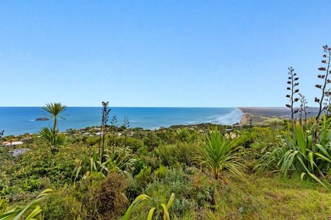Photo of property in 119 Waitea Road, Muriwai, 0881