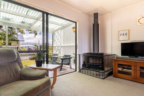 Photo of property in 260 Mackenzie Drive, Twizel, 7901