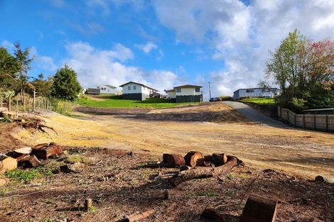 Photo of property in 51 Albert Street, Kawakawa, 0210