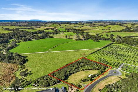 Photo of property in 55 Pigeon Berry Lane, Mangawhai, 0573