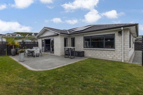 Photo of property in 118 John Burke Drive, Aotea, Porirua, 5024