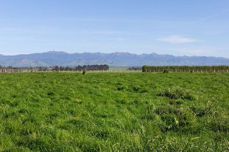 Photo of property in 595 East Taratahi Road, East Taratahi, Carterton, 5887