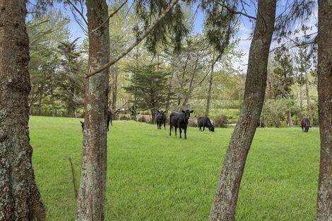 Photo of property in 336 Ireland Road, Waitoki, Kaukapakapa, 0871