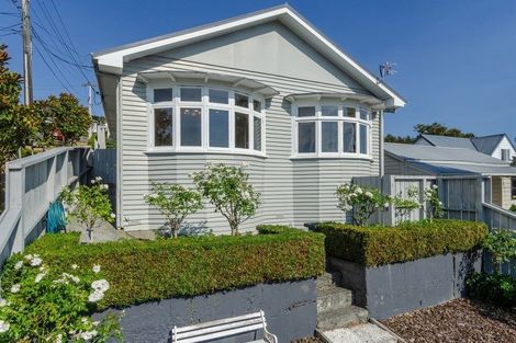 Photo of property in 18 Carrington Street, Mount Cook, Wellington, 6021