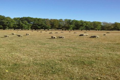 Photo of property in 145 Island Road, Kaiapoi, 7691